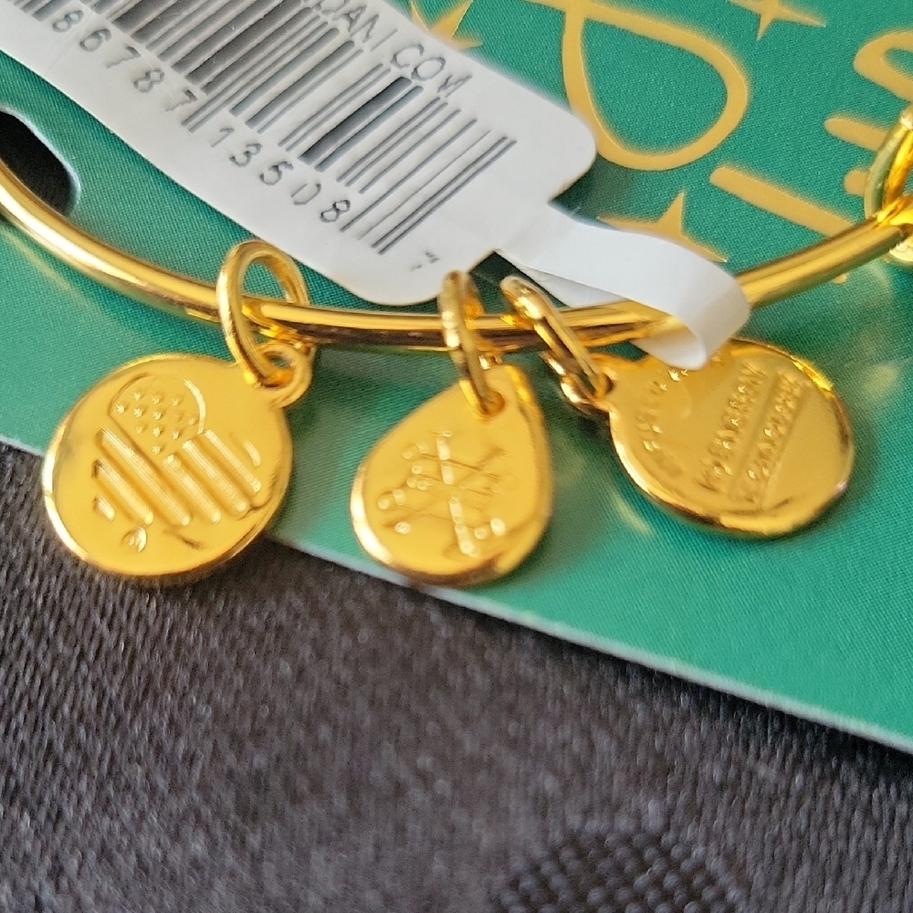 Alex and Ani Gold Bangle Bracelet - Picture 2 of 4